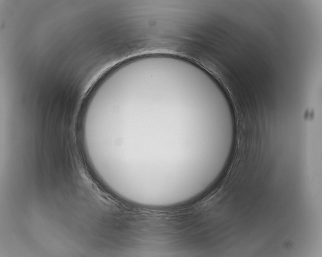 X0000113200676200909100923