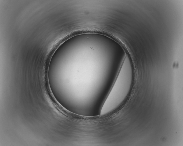 X0000113200677200909100923
