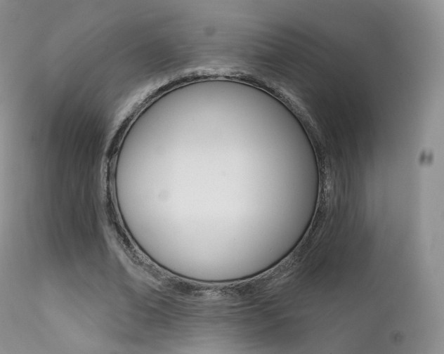 X0000113200678200909100922