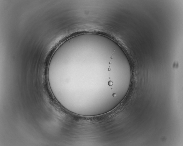 X0000113200679200909100922