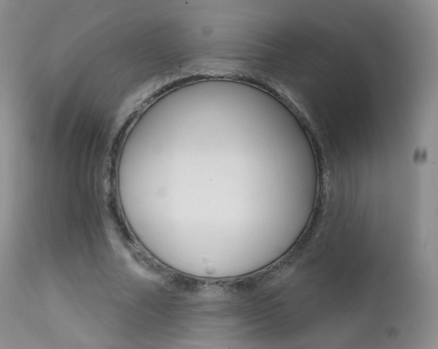 X0000113200682200909100922