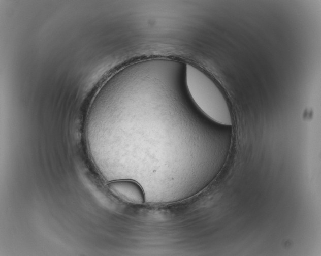 X0000113200683200909100922