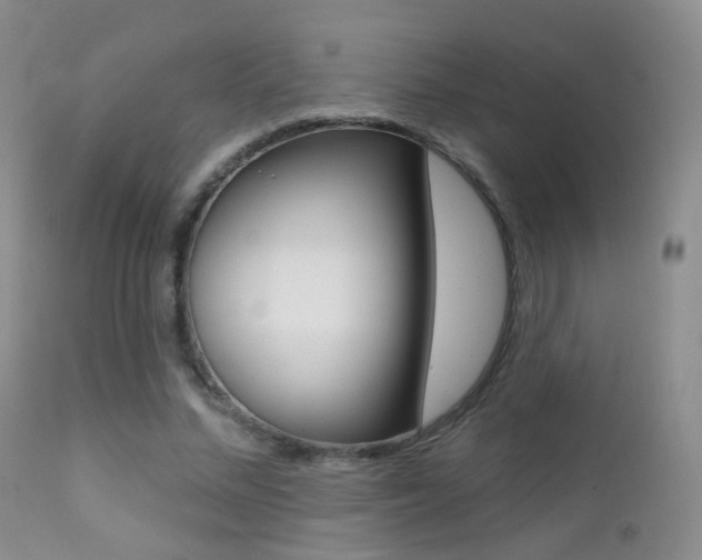 X0000113200684200909100922