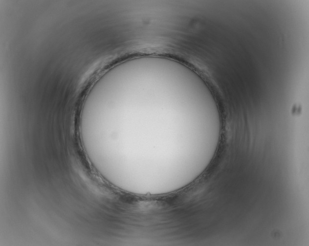 X0000113200686200909100922