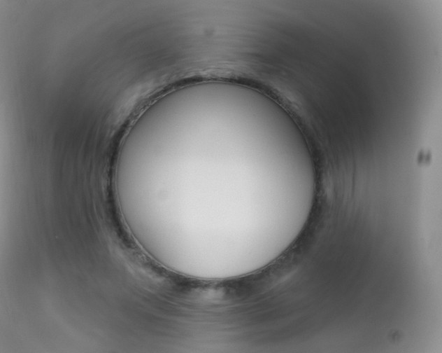 X0000113200687200909100922