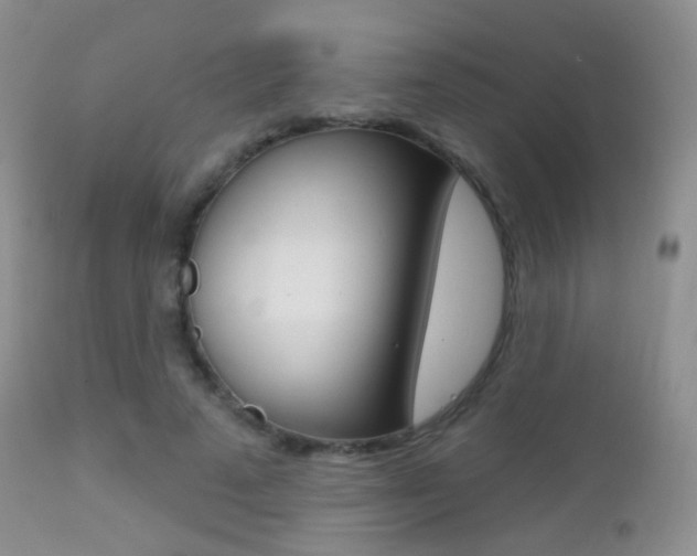 X0000113200689200909100922