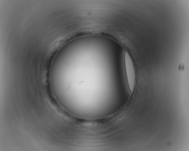 X0000113200693200909100922