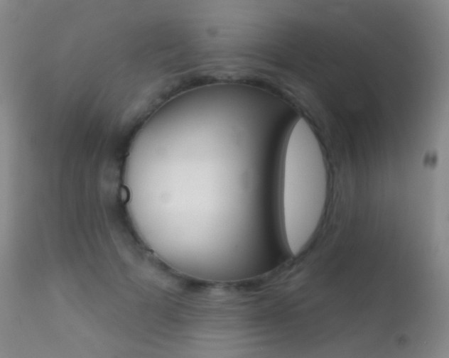 X0000113200697200909100922