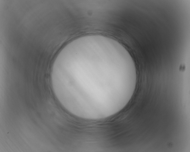 X0000113200700200909100922