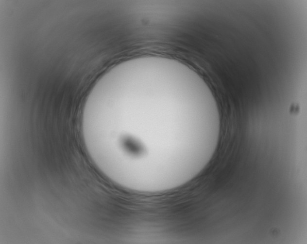 X0000113200701200909100922