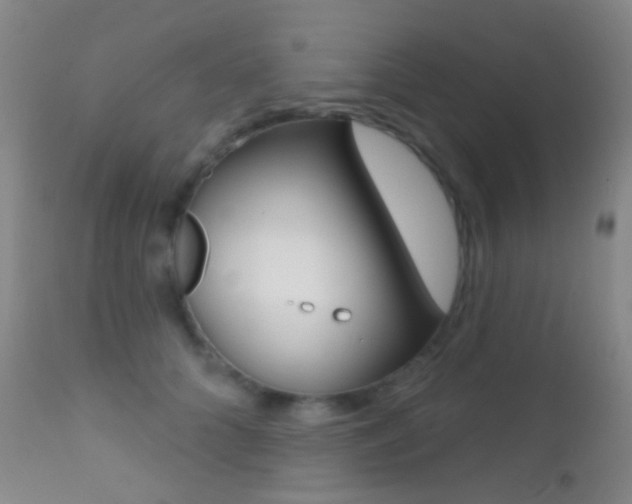 X0000113200704200909100922