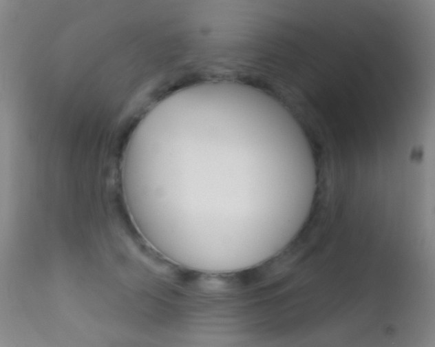 X0000113200706200909100922