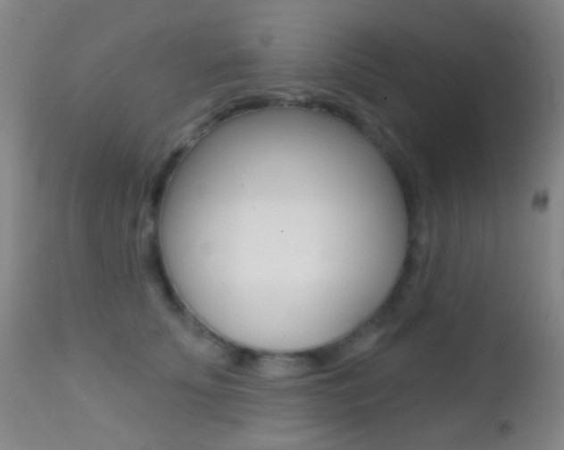X0000113200707200909100922
