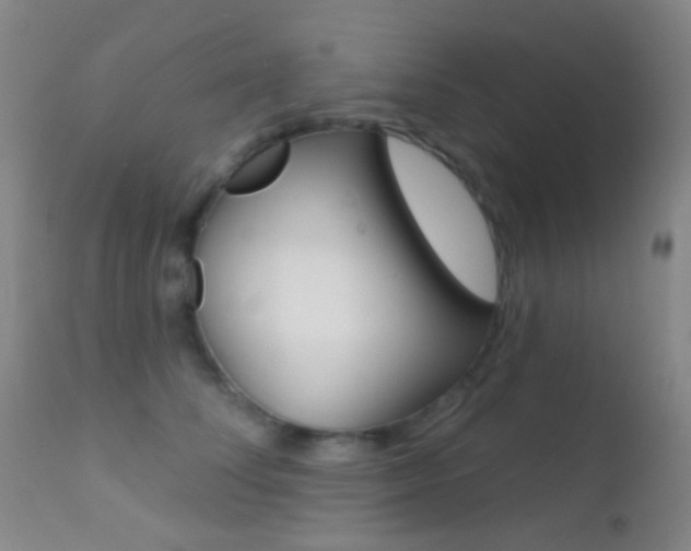 X0000113200708200909100922