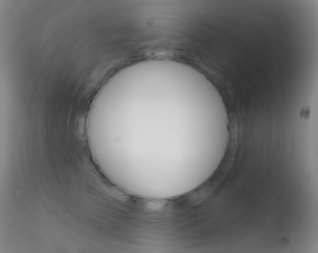 X0000113200709200909100922