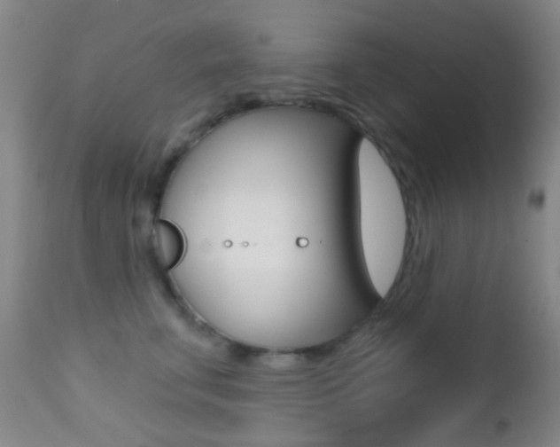 X0000113200711200909100922