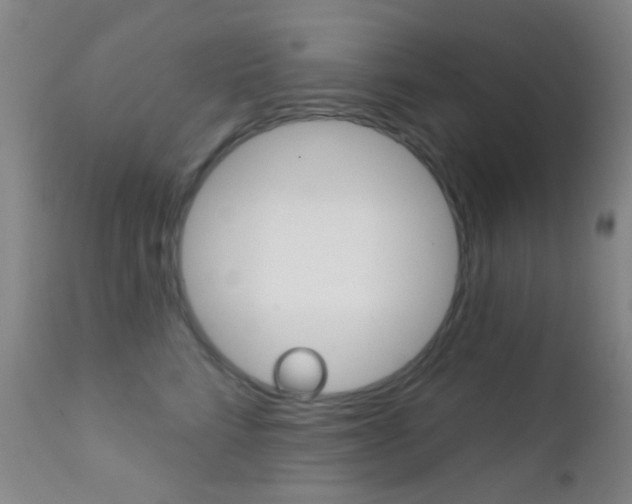 X0000113200712200909100922
