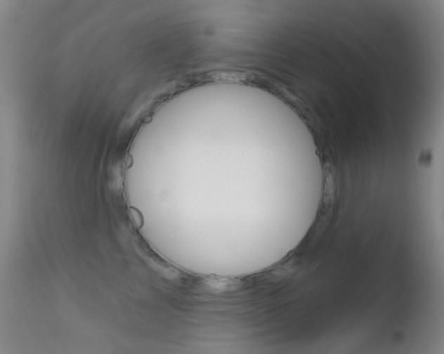 X0000113200713200909100922