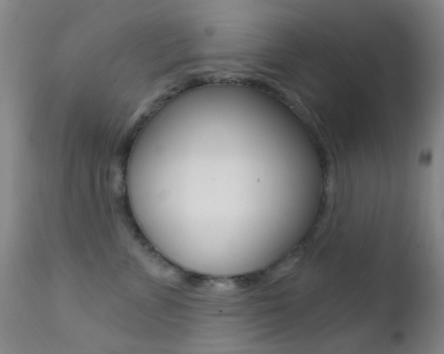 X0000113200715200909100922