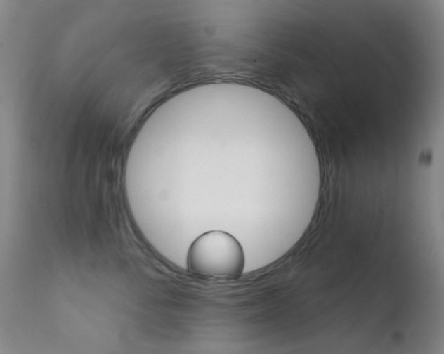 X0000113200716200909100922