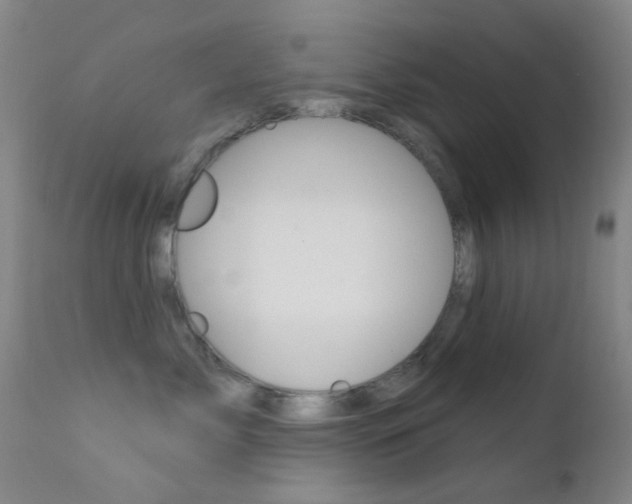 X0000113200717200909100922