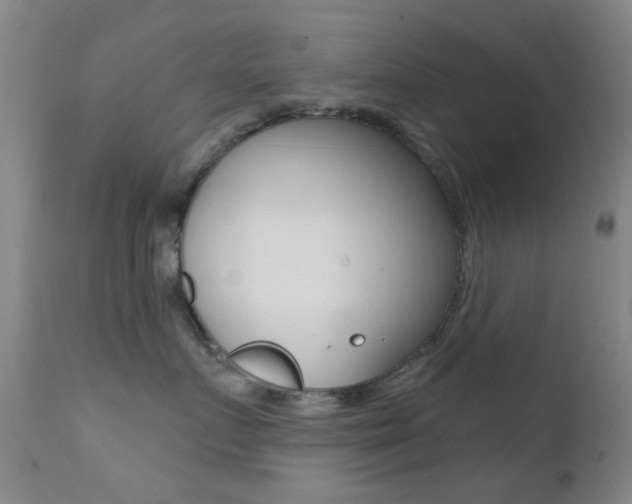 X0000113200719200909100922