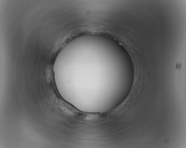 X0000113200720200909100922
