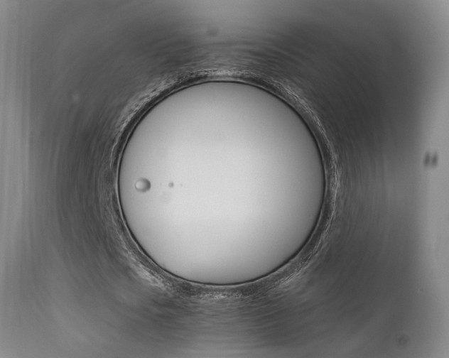 X0000113200721200909100921
