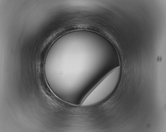 X0000113200722200909100921