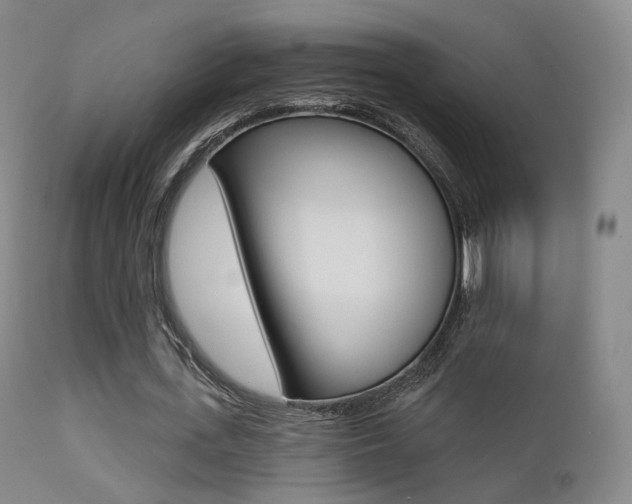 X0000113200723200909100921