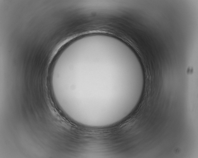 X0000113200724200909100921