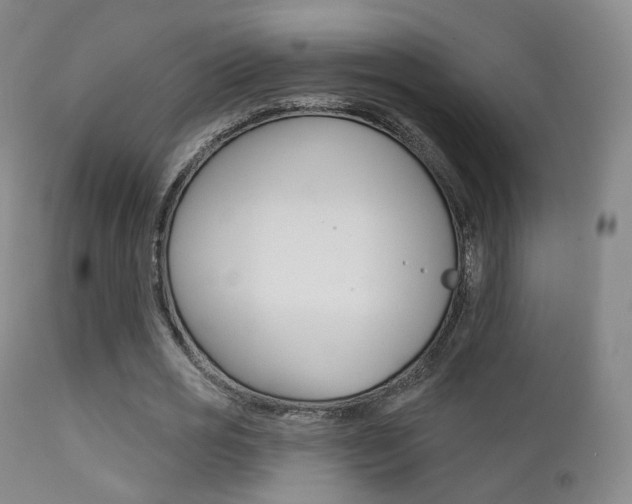 X0000113200725200909100921