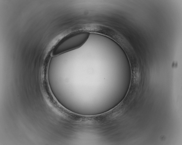 X0000113200726200909100921