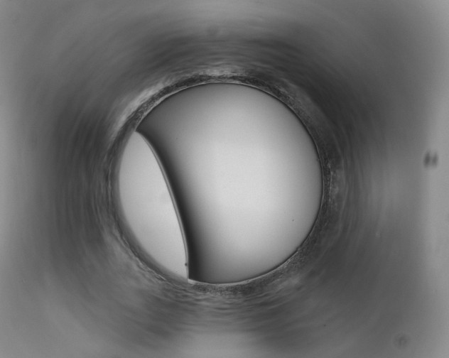 X0000113200727200909100921