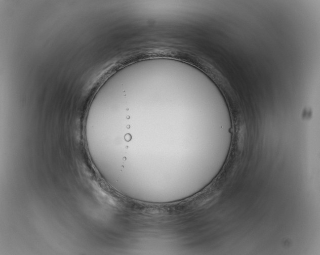 X0000113200729200909100921