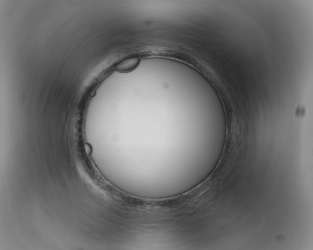 X0000113200730200909100921