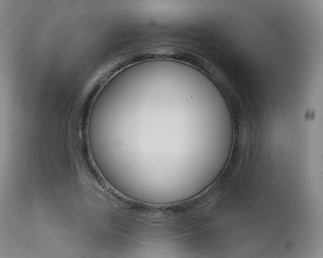 X0000113200731200909100921