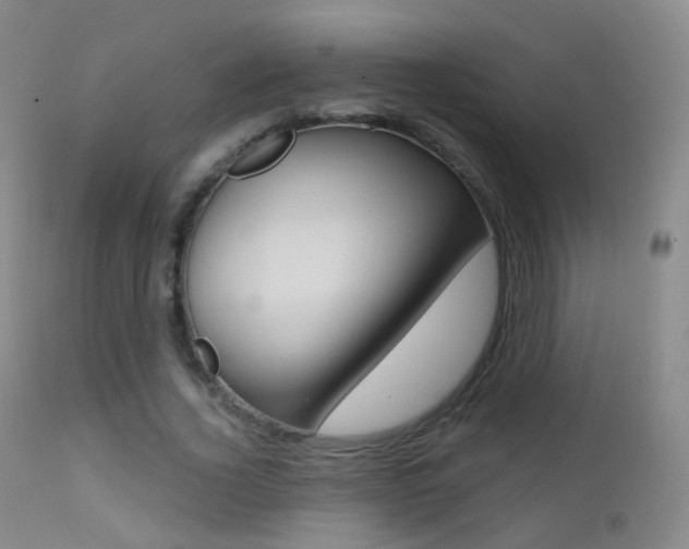 X0000113200732200909100921