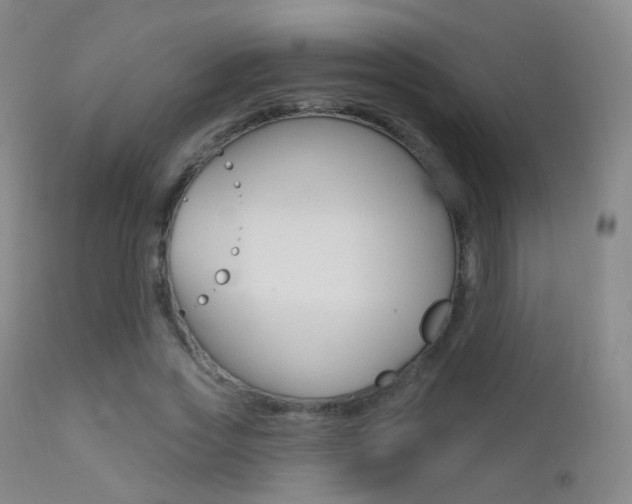 X0000113200733200909100921