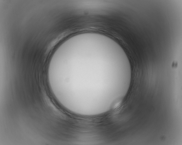 X0000113200734200909100921