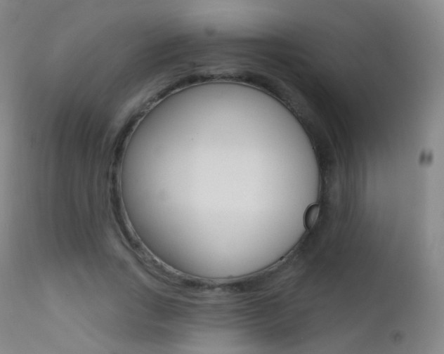 X0000113200735200909100921
