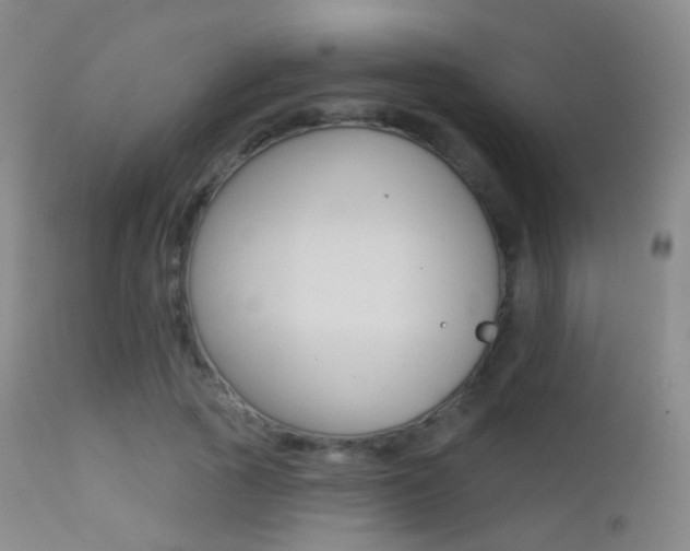 X0000113200737200909100921