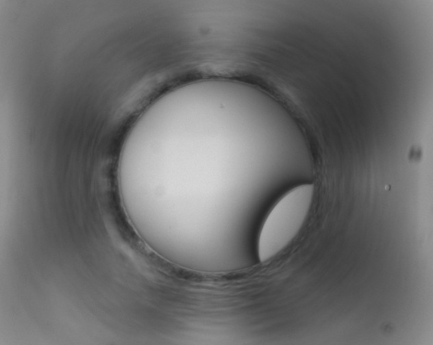 X0000113200738200909100921