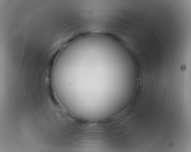 X0000113200740200909100921