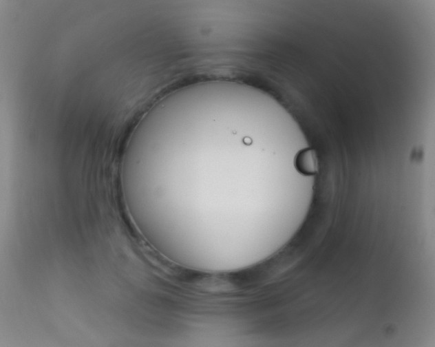 X0000113200747200909100922