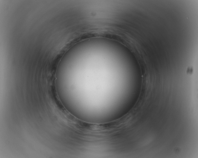 X0000113200750200909100922