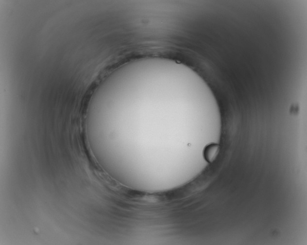 X0000113200751200909100922