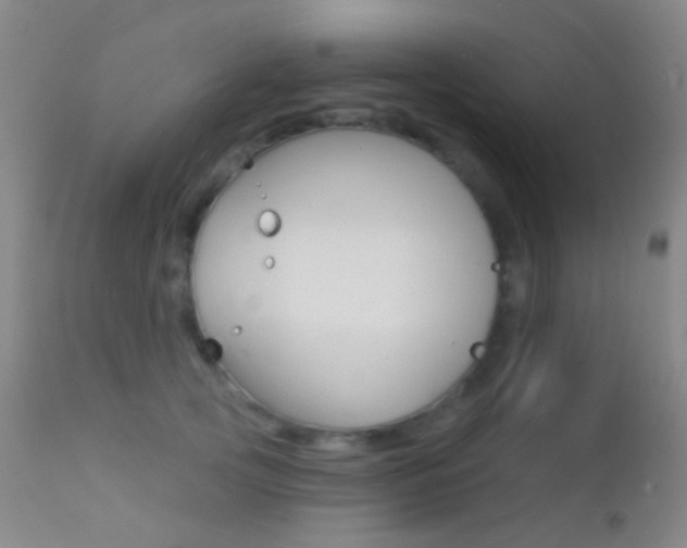 X0000113200753200909100922