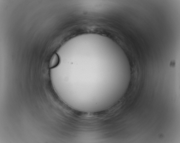 X0000113200754200909100922