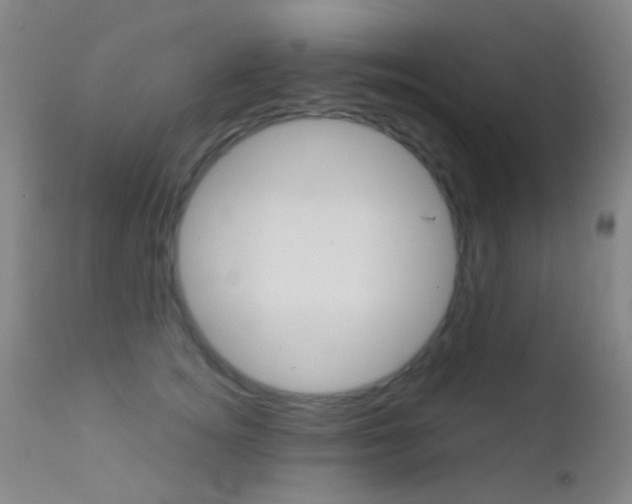 X0000113200756200909100922